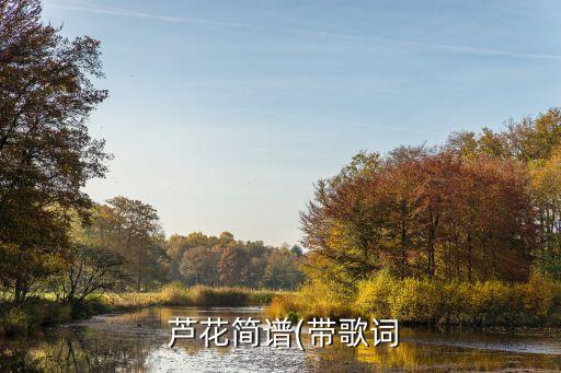  芦花简谱(带歌词