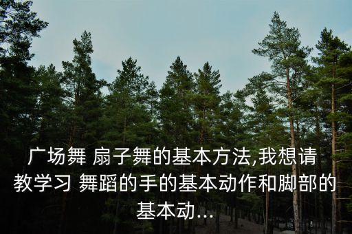 广场舞 扇子舞的基本方法,我想请 教学习 舞蹈的手的基本动作和脚部的基本动...
