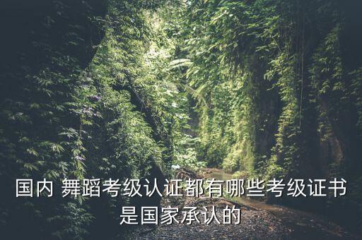 国内 舞蹈考级认证都有哪些考级证书是国家承认的