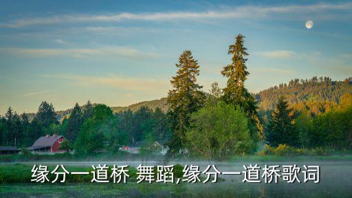 缘分一道桥 舞蹈,缘分一道桥歌词