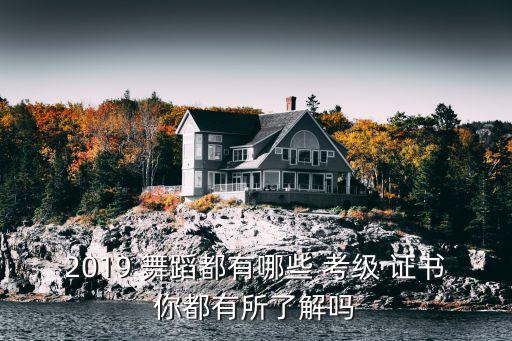 社会艺术水平舞蹈考级证书,社会水平艺术考级证书