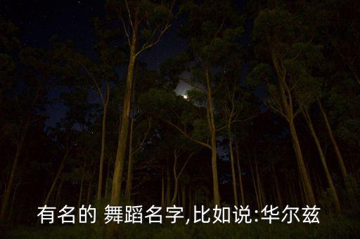 有名的 舞蹈名字,比如说:华尔兹