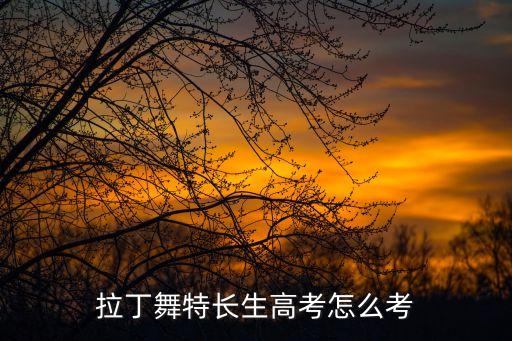 拉丁舞特长生高考怎么考