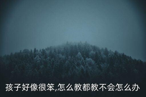 孩子好像很笨,怎么教都教不会怎么办