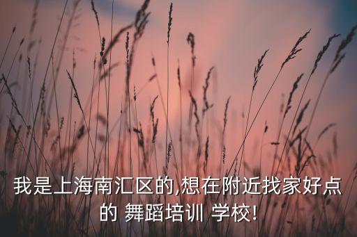 我是上海南汇区的,想在附近找家好点的 舞蹈培训 学校!
