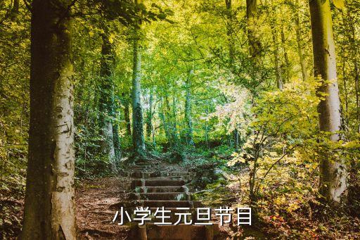  小学生元旦节目