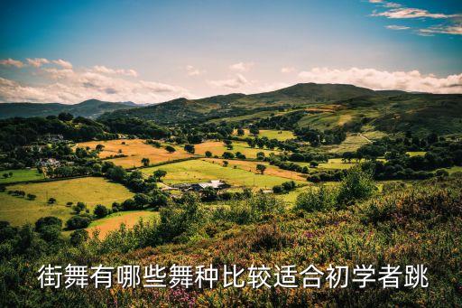  街舞有哪些舞种比较适合初学者跳