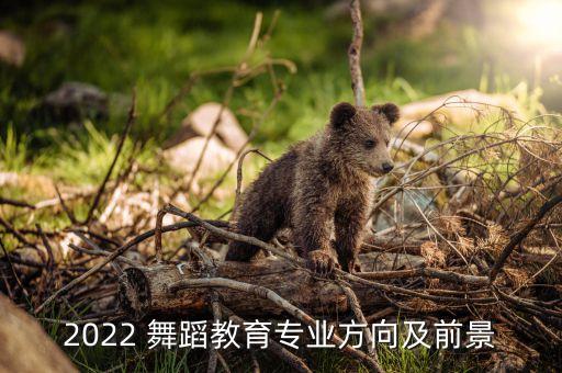 简单职业舞蹈,舞蹈以后可以从事的职业