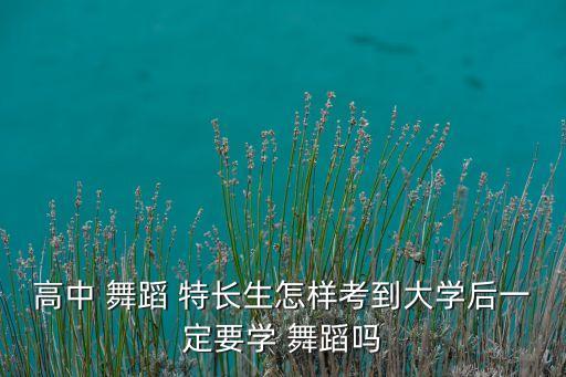 舞蹈特长生专业生