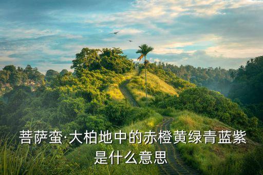 单色舞蹈菩萨蛮
