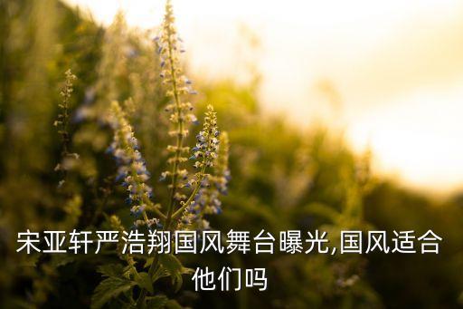 宋亚轩严浩翔国风舞台曝光,国风适合他们吗