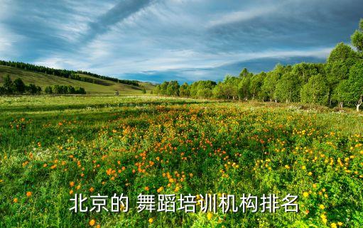 北京的 舞蹈培训机构排名