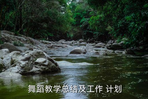  舞蹈教学总结及工作 计划