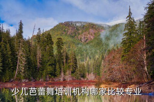 少儿芭蕾舞培训机构哪家比较专业