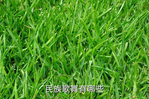 民族歌舞有哪些