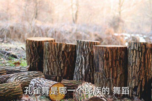  孔雀舞是哪一个民族的 舞蹈