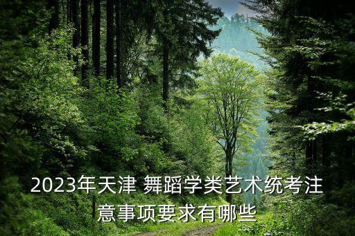 2023年天津 舞蹈学类艺术统考注意事项要求有哪些