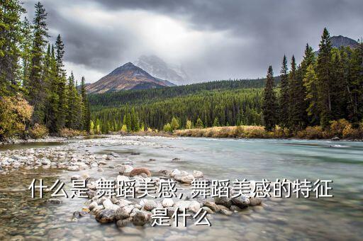 舞蹈的艺术美,舞蹈艺术美主要体现在造型美节奏美和什么美