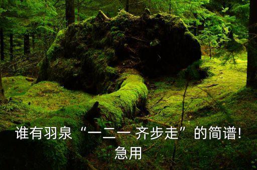 谁有羽泉“一二一 齐步走”的简谱!急用