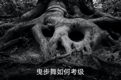 曳步舞如何考级