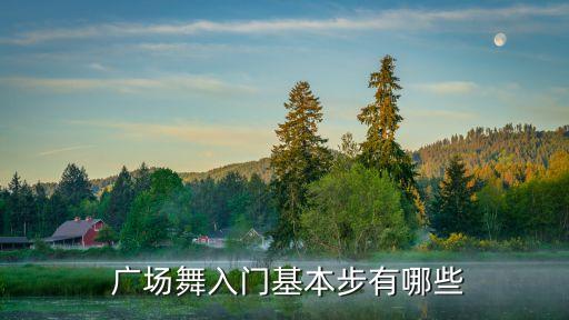  广场舞入门基本步有哪些