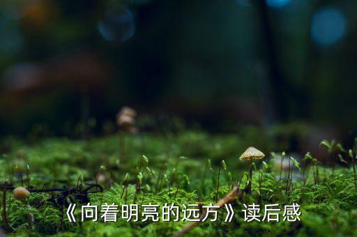 《向着明亮的远方》读后感