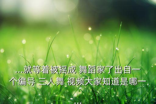 ...就等着被摇成 舞蹈家了出自一个编导 三人舞 视频大家知道是哪一...