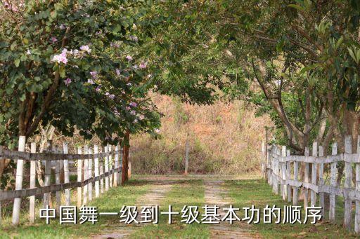 12级舞蹈年轻人的踢踏,年轻人的踢踏十二级