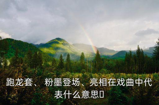 跑龙套、 粉墨登场、亮相在戏曲中代表什么意思￼
