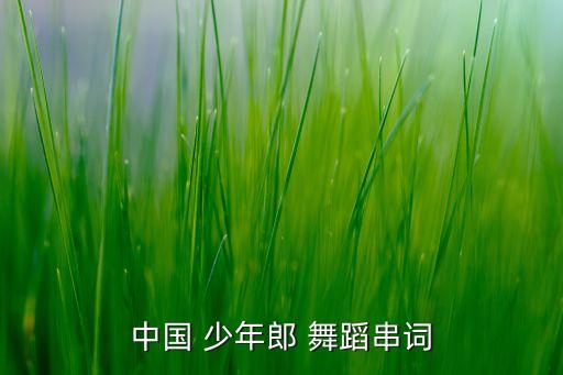 中国 少年郎 舞蹈串词