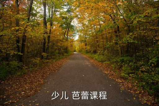 少儿 芭蕾课程