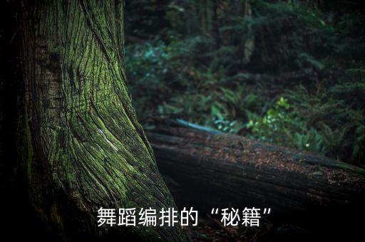  舞蹈编排的“秘籍”
