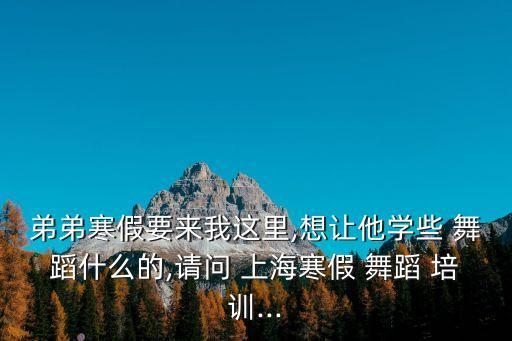 弟弟寒假要来我这里,想让他学些 舞蹈什么的,请问 上海寒假 舞蹈 培训...