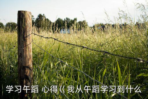 学习午蹈 心得巜我从午蹈学习到什么