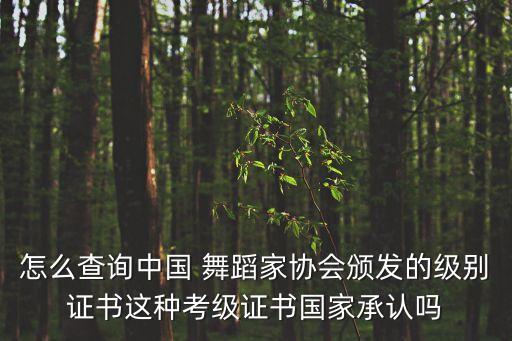 怎么查询中国 舞蹈家协会颁发的级别证书这种考级证书国家承认吗