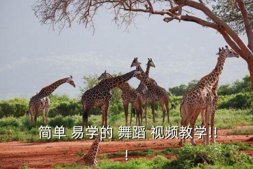  简单 易学的 舞蹈 视频教学!!!