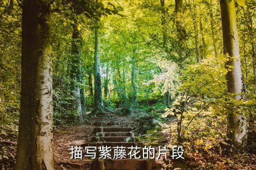 舞蹈藤枝叶观后感,藤枝叶舞蹈视频桃李杯