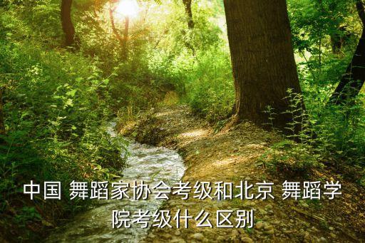 中国 舞蹈家协会考级和北京 舞蹈学院考级什么区别