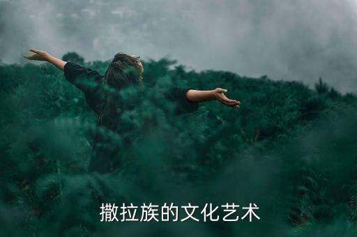  撒拉族的文化艺术