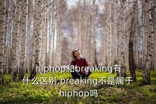  hiphop和breaking有什么区别,breaking不是属于 hiphop吗