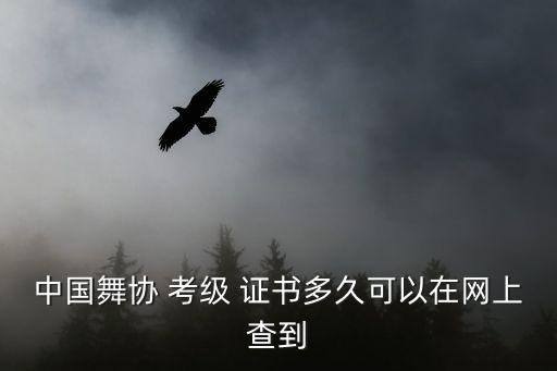 中国舞协 考级 证书多久可以在网上查到