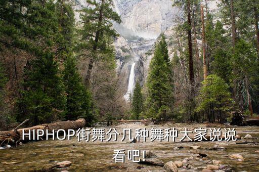 HIPHOP街舞分几种舞种大家说说看吧!
