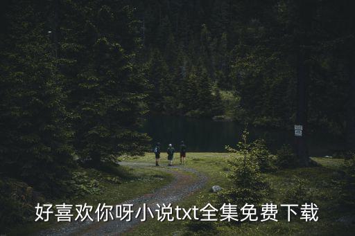 好喜欢你呀小说txt全集免费下载