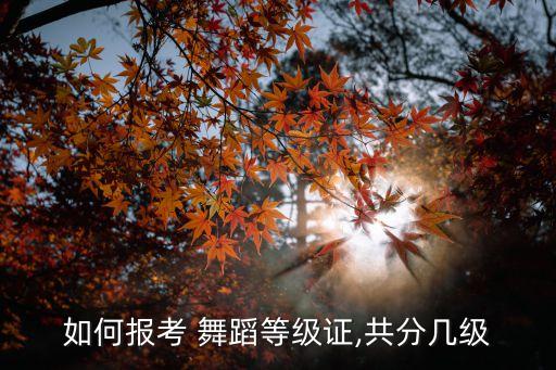 北京最新平4舞蹈,北京紫竹院舞蹈