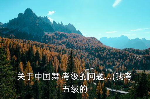关于中国舞 考级的问题...(我考五级的
