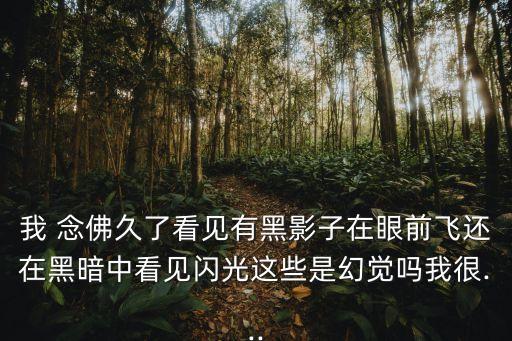 我 念佛久了看见有黑影子在眼前飞还在黑暗中看见闪光这些是幻觉吗我很...