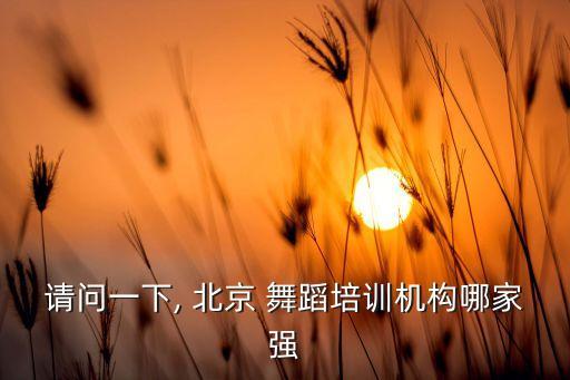 请问一下, 北京 舞蹈培训机构哪家强