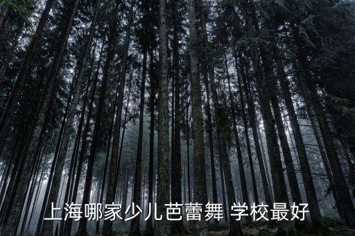 上海哪家少儿芭蕾舞 学校最好