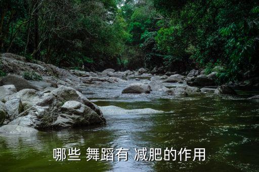 中年舞蹈减肥教学视频,能减肥的舞蹈教学视频很简单的