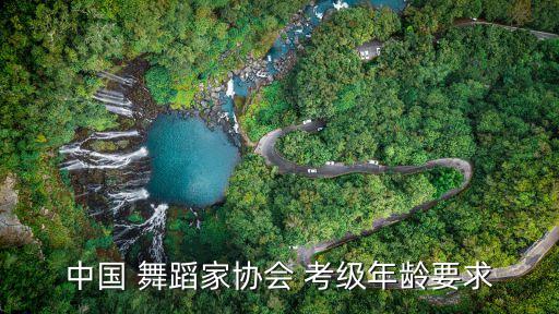 上海 舞蹈 考级,上海舞蹈考级时间2022